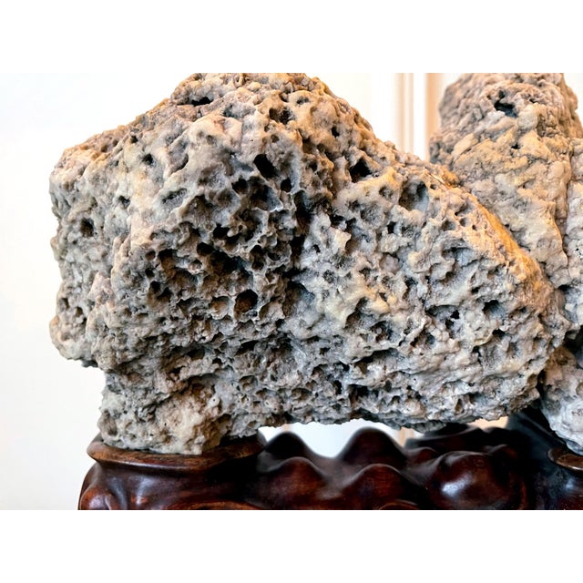 Rare Chinese Kun Scholar Stone on Display Stand For Sale - Image 15 of 18