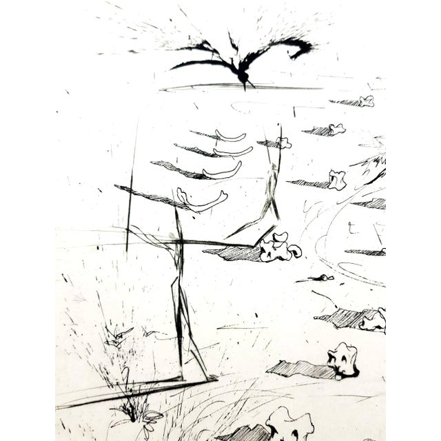 Early 21st Century The Trenches Etching by Salvador Dali, 1967 For Sale - Image 5 of 10