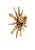 European Wooden Dove Sunburst the Holy Spirit 15.25" Diameter For Sale In New York - Image 6 of 8