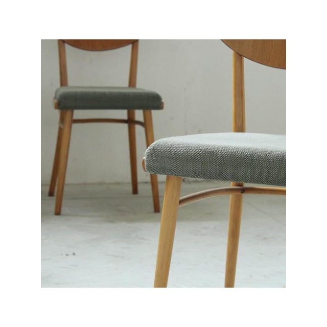 Sage Green Upholstered Chairs from Ton, 1960, Set of 4 For Sale - Image 10 of 13