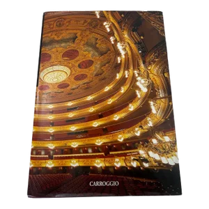 El Gran Llibre Del Liceu Hardcover Book by Roger Alier