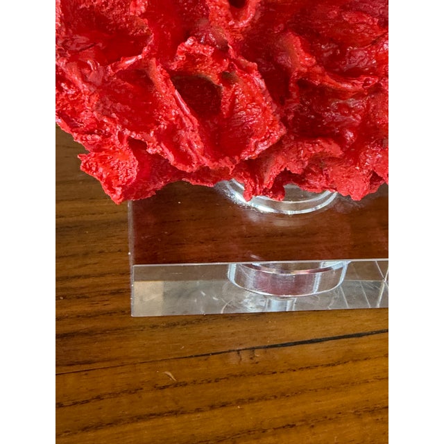 Pair of Red Faux Coral Table Lamps on Clear Acrylic Bases For Sale - Image 10 of 12