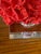 Pair of Red Faux Coral Table Lamps on Clear Acrylic Bases For Sale - Image 10 of 12
