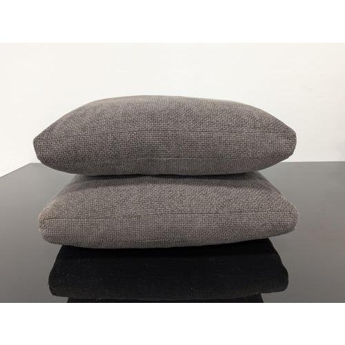 Charles Brown Cushions from B&B Italia, Set of 2 For Sale - Image 4 of 10