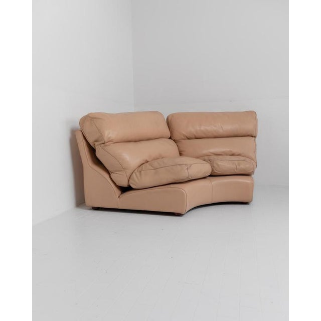 Vintage Love Seat by Tito Agnoli for Poltrona Frau, 1970s For Sale - Image 12 of 12