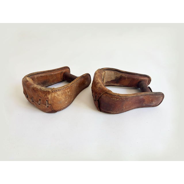 Animal Skin Vintage Western Horse Saddle Stirrups, a Pair For Sale - Image 7 of 9