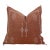 Rusted Lantern Cactus Silk Moroccan Pillow For Sale