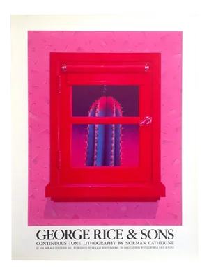 Norman Catherine Vintage 1981 Post Modern Lithograph Print George Rice & Sons Pop Art Poster