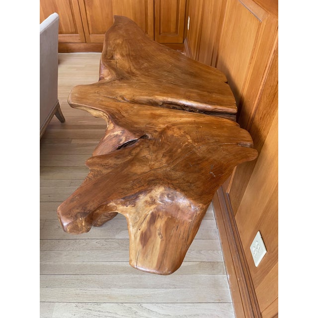 Early 20th Century California Redwood Sculptural Root Table For Sale - Image 4 of 18