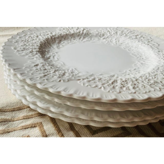 1930s Spode Savoy Cabbage Leaf Embossed White Dinner Plates — English Bone China, Set of 4 For Sale - Image 10 of 18
