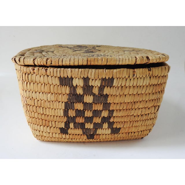 Vintage Papago Hand Woven Covered Basket Turtle Design For Sale - Image 4 of 7