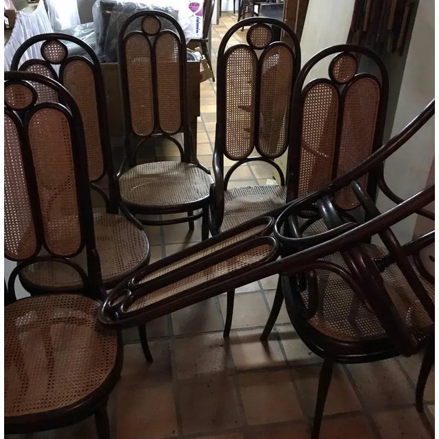 Wood Nr 16 4+2 Christal Palace in Caning Chairs by Michael Thonet for Thonet, 1870s, Set of 6 For Sale - Image 7 of 11