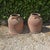 19th Century Large Victorian Rhubarb Forcers, 1880, Set of 2 For Sale - Image 5 of 5