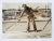 Rustic Vintage Photograph Working Man on Roof For Sale - Image 3 of 3