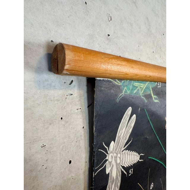 Vintage Linen School Chart, 1930s For Sale - Image 3 of 16