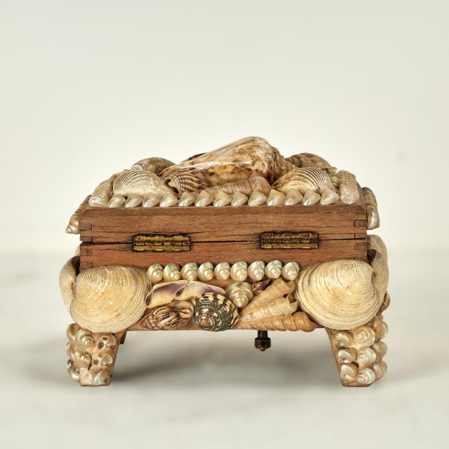 Antique English Seashell Encrusted Music Box For Sale - Image 4 of 12