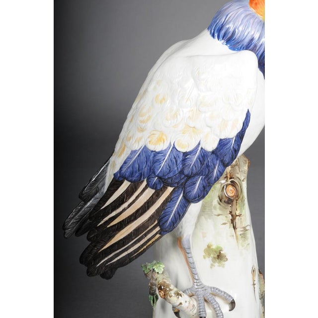 Large King Vulture from Meissen, 1880 For Sale - Image 6 of 18