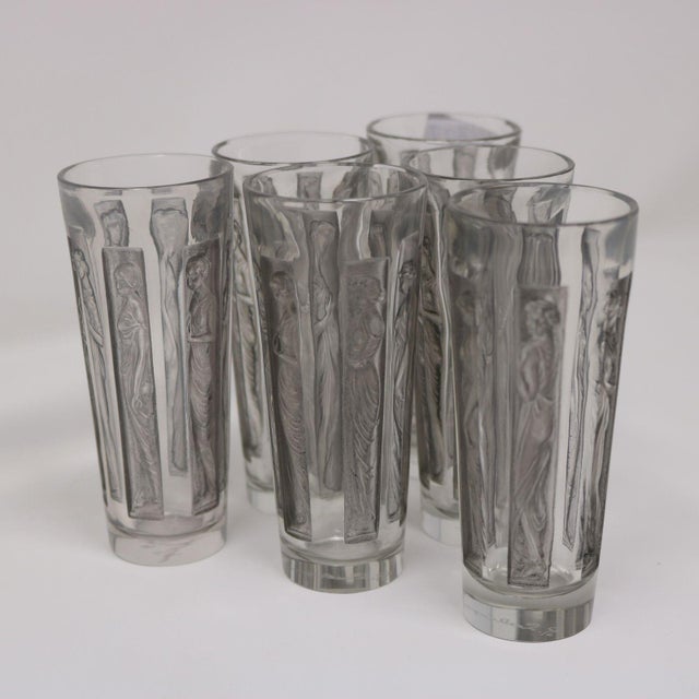 1910s 1910s Art Nouveau Rene Lalique Glass Shot Glasses Set of 6 Boxed For Sale - Image 5 of 18