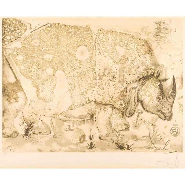 Salvador Dalí­, Surrealist Lithograph of Rhinoceros, Edition 163/275, 1970, Lithograph For Sale
