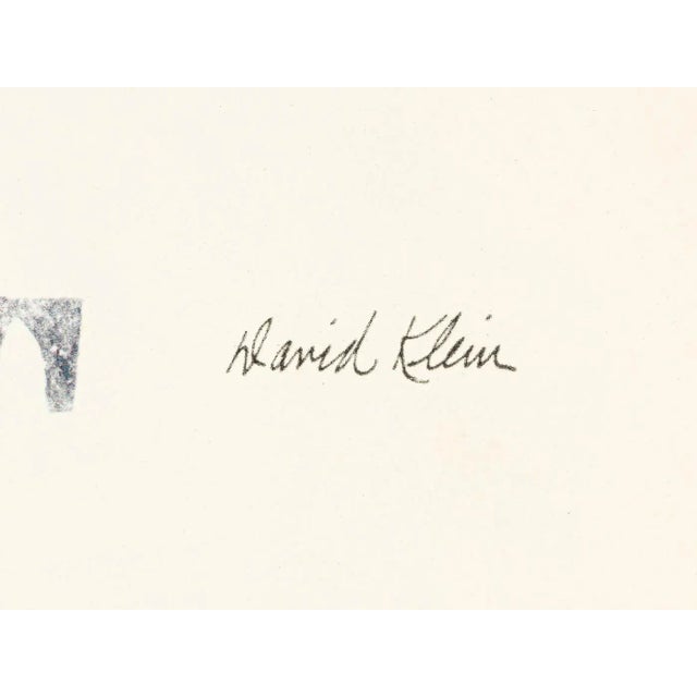 Israel Fly Two by David Klein, 1960s For Sale - Image 12 of 17