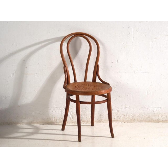 Chairs in Bentwood from Thonet, Central Europe, 1930, Set of 2 For Sale - Image 11 of 13