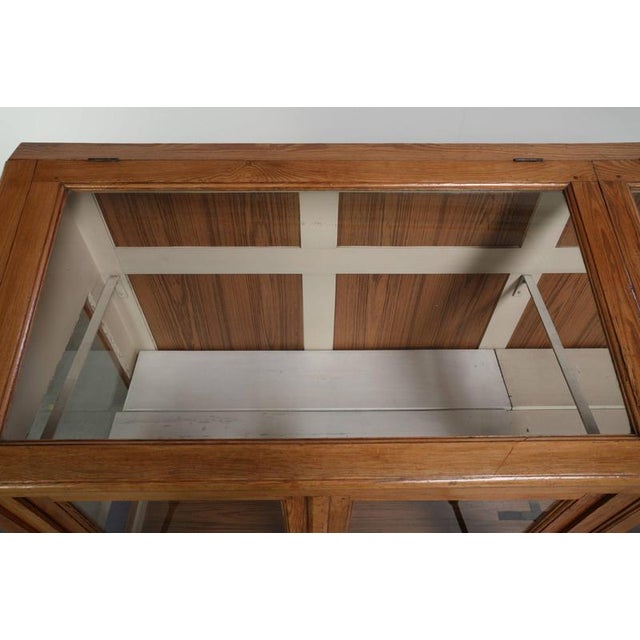 Brown Vintage Museum Cabinet with Doors and Removable Shelves For Sale - Image 8 of 16