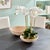 Early 21st Century Cane Rattan Low Bowls, Set Of 2 For Sale - Image 5 of 7