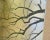 Wood C.1970's Vintage Japanese Byobu Silk Screen Gilt Gold & Silver Leaf & Hand-Painted 4-Panel Wall Screen For Sale - Image 7 of 12