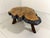 1970s Large Tree Trunk Coffee Table by Frank Armich, Canada, 1970s For Sale - Image 5 of 15