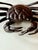 Japanese Bronze Articulated Crab Okimono Meiji by Yasunosuke Ryubundo VI For Sale - Image 13 of 13