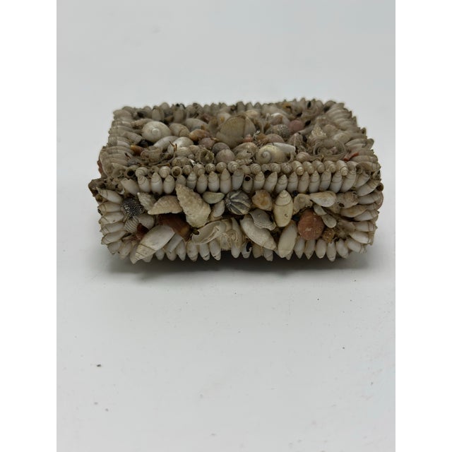 1950s Small Vintage Shell Art For Sale - Image 5 of 7