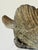 Mid Century Italian Brass Swan Planter For Sale - Image 9 of 13