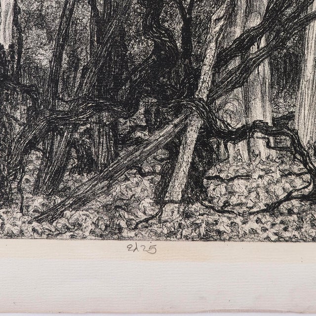 Contemporary Mid 20th Century Janet Turner Original Lithograph · Entanglement · Signed · Edition 2/25 For Sale - Image 3 of 5