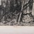 Contemporary Mid 20th Century Janet Turner Original Lithograph · Entanglement · Signed · Edition 2/25 For Sale - Image 3 of 5