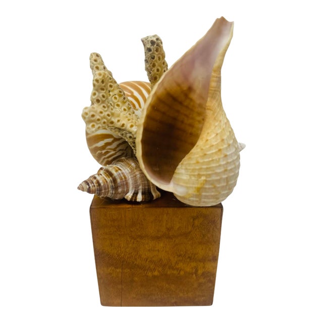 Vintage Handmade Shell Sculpture For Sale