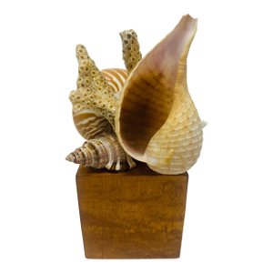 Vintage Handmade Shell Sculpture