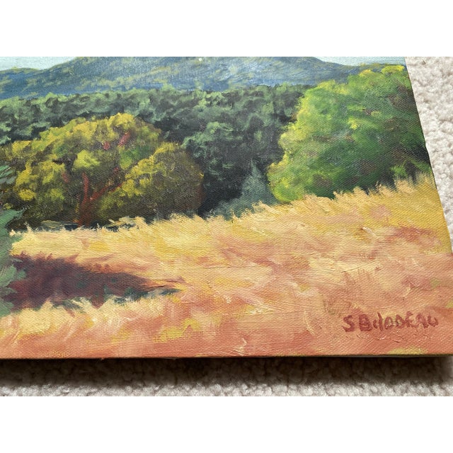 “Konocti From the East” - Original Painting by Steven Guy Bilodeau For Sale - Image 9 of 10