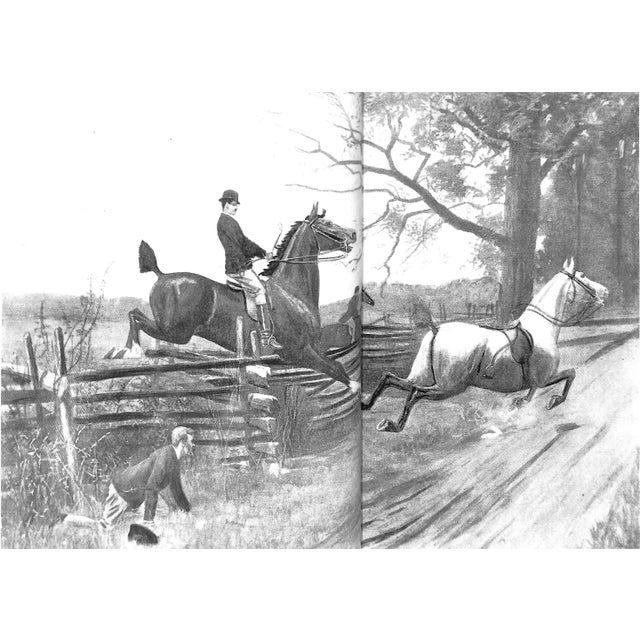 "Steeplechasing" 2001 Winants, Peter For Sale - Image 9 of 11