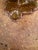 Organic Mixed Media Studio Pottery Decor Sculpture With Faux Fiddlehead Ferns For Sale - Image 9 of 12