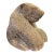 1970s Inuit Wilson Oozeva Carving of Polar Bear For Sale