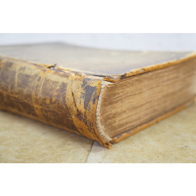 Animal Skin Antique 1878 Grays Anatomy Descriptive Surgical Medical Book Henry C Lea Leather For Sale - Image 7 of 16