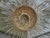 Mid 20th Century Spanish Midcentury Gilt Metal Sunburst Chandelier with Wavy Rays For Sale - Image 10 of 12