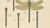 Dragonflies of Central Europe, 1908, Lithograph, Set of 3 For Sale - Image 10 of 14