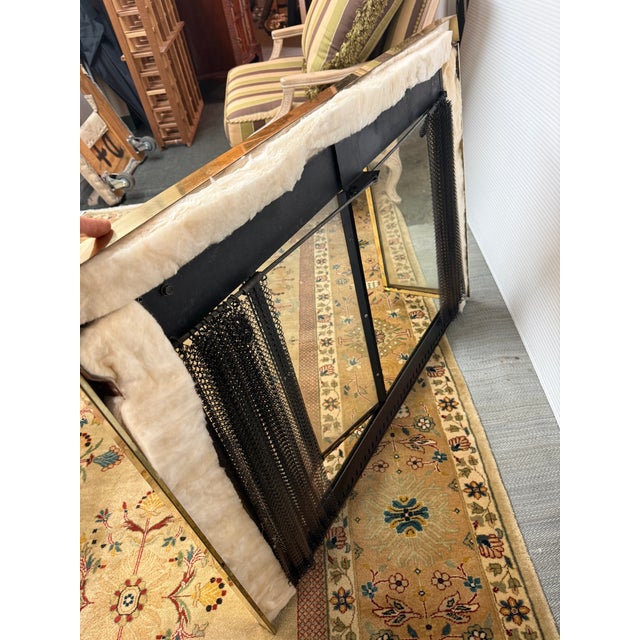 Jenson Distribution Traditional Fireplace Doors For Sale - Image 10 of 12