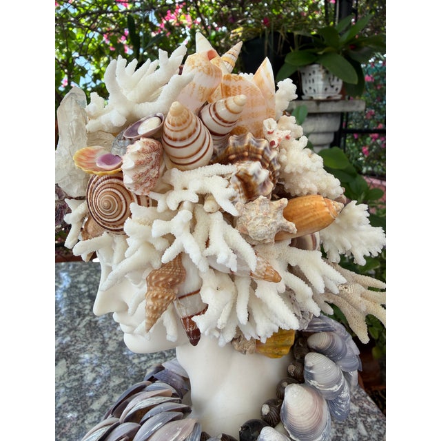2020s CSS 14"h. Seashells Marble Bust of Apollo For Sale - Image 5 of 7