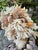 2020s CSS 14"h. Seashells Marble Bust of Apollo For Sale - Image 5 of 7