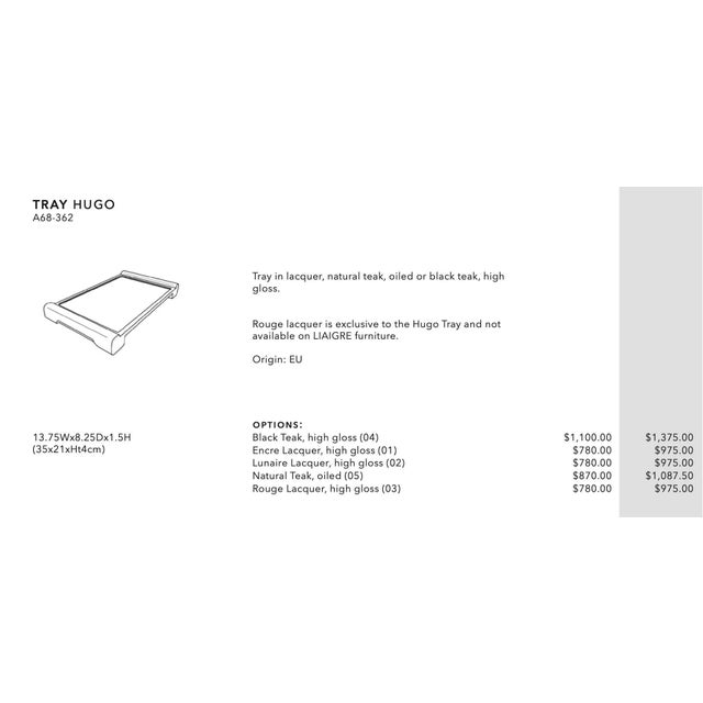 Paint Christian Liaigre Rouge Lacquer Hugo Tray Size 1 (Small) For Sale - Image 7 of 7