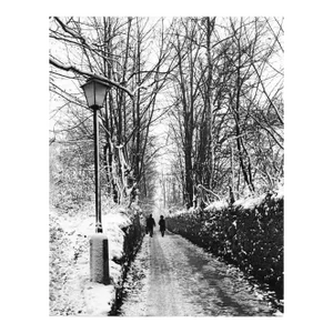 1971 Austrian Winter Photograph by Don Ware