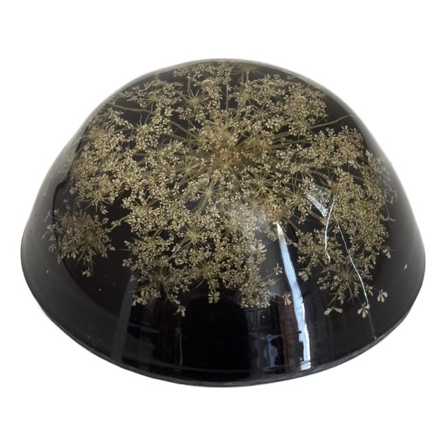 Vintage Botanical Resin Paperweight With Pressed Queen Anne's Lace For Sale