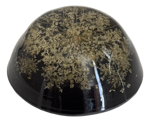 Vintage Botanical Resin Paperweight With Pressed Queen Anne's Lace